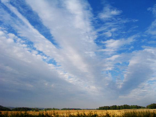 altocumulus