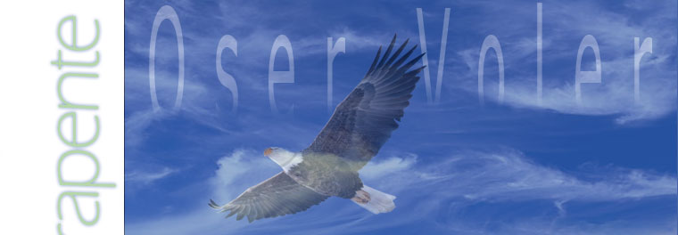 oser voler