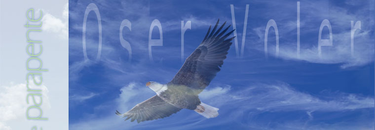 oser voler