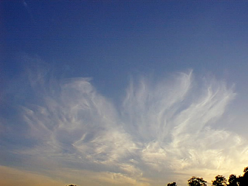 cirrus