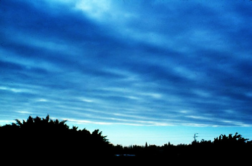 stratus